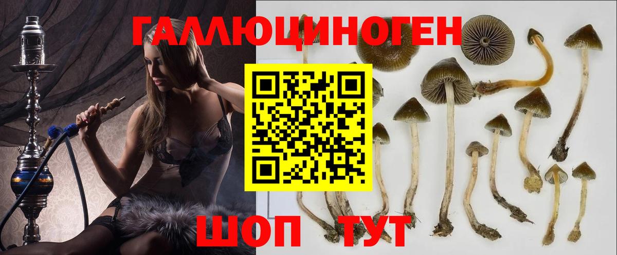 Галлюциногенные грибы мухоморы Южно-Сахалинск