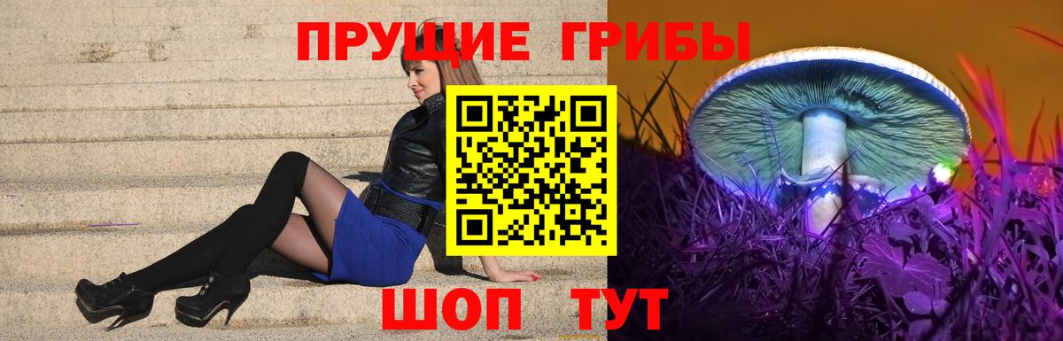 Псилоцибиновые грибы ЛСД  Галлюциногенные грибы Psilocybe  Южно-Сахалинск  Вход с VPN 